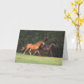 ボブラングリシュ |ドイツの乗馬用ポニーとオルデンブルク カード (黄色い花)