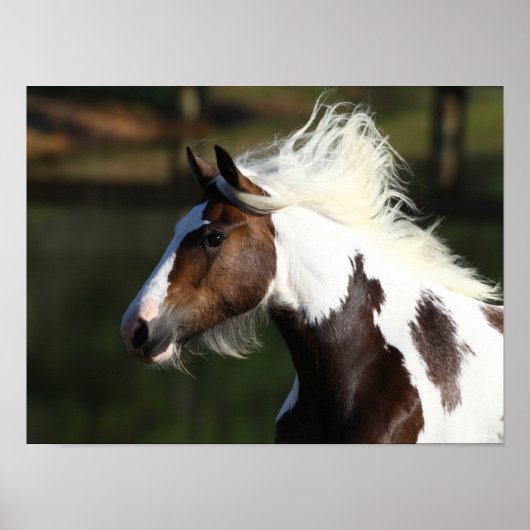 ボブラングリシュ |ドラムホースのヘッドショット ポスター (正面)