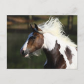 ボブラングリシュ |ドラムホースのヘッドショット ポストカード (正面)