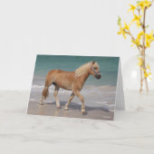 ボブラングリシュ |ハフリンガー歩くオンビーチ カード (黄色い花)