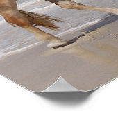 ボブラングリシュ |ハフリンガー歩くオンビーチ ポスター (角)