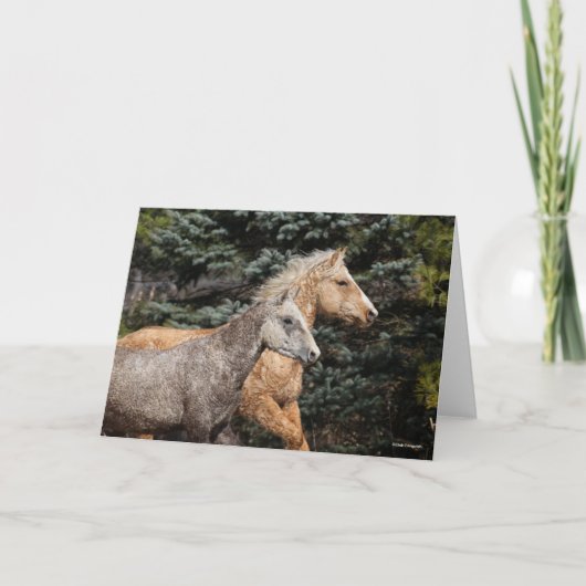 ボブラングリシュ |バシキルの巻き毛馬2頭 カード (正面)