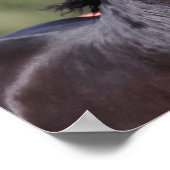 ボブラングリシュ |バックアンダルシアのヘッドショット ポスター (角)