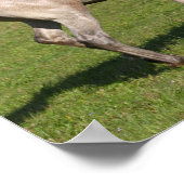 ボブラングリシュ パソフィノ遊ホースとボール ポスター (角)