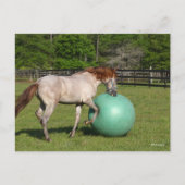 ボブラングリシュ パソフィノ遊ホースとボール ポストカード (正面)