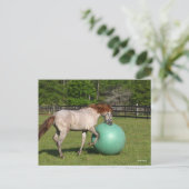 ボブラングリシュ パソフィノ遊ホースとボール ポストカード (スタンド正面)