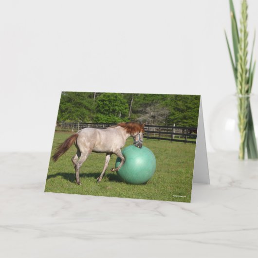 ボブラングリシュ |パソ・フィノ・ホース・遊ウィズ・ボール カード (正面)