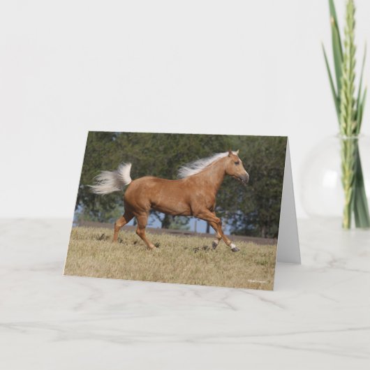 ボブラングリシュ |パロミノクォーターホースランニングズ カード (正面)