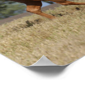 ボブラングリシュ |パロミノクォーターホースランニングズ ポスター (角)