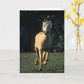 ボブラングリシュ |パロミノホースランニングのバックライト カード (黄色い花)