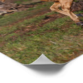 ボブラングリシュ |パロミノLusitano Stallionランニングのホテル ポスター (角)