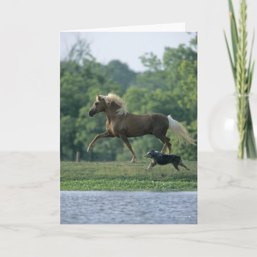 ボブラングリシュ |パロミーノ・テネシー・ウォーカー・アンド・ドッグ カード (正面)