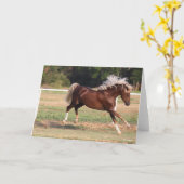 ボブラングリシュ |パロミーノ・モルガン・ホース・バッキング カード (黄色い花)