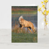 ボブラングリシュ |パロミーノ・ルシターノ・スタリオン・バッキング カード (黄色い花)