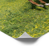 ボブラングリシュ |ピントランニング・オルデンブルクの花 ポスター (角)