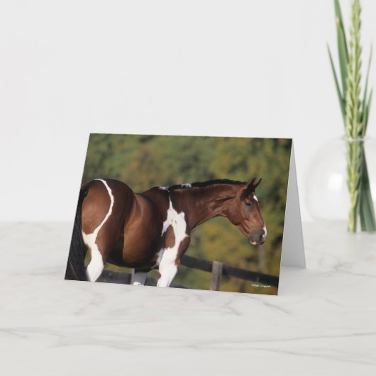 ボブラングリシュ |ピント温血立ち上がりヘッドショット カード (正面)