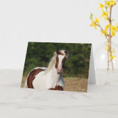 ボブラングリシュ |ピント・ハフリンガー・ヘッドショット カード (黄色い花)