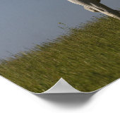 ボブラングリシュ |フィールドのグレー・アラブのスタリオン ポスター (角)