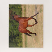 ボブラングリシュ |フィールドのベイ・アンダルシア子馬 ジグソーパズル (縦)