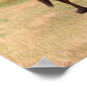 ボブラングリシュ |フィールドのベイ・アンダルシア子馬 ポスター (角)