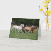 ボブラングリシュ |フォーポニーズ・ランニングズ・トゥゴザ カード (黄色い花)