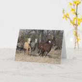 ボブラングリシュ |フォー・バシキール・カーリー・ウランニングーズ・ カード (黄色い花)