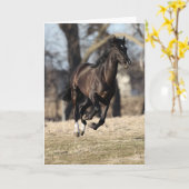 ボブラングリシュ |ブラックアンダルシアランニングホース カード (黄色い花)