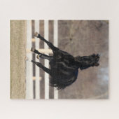 ボブラングリシュ |ブラックアンダルシアランニングホース ジグソーパズル (横)