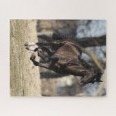 ボブラングリシュ |ブラックアンダルシアランニングホース ジグソーパズル (横)