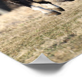 ボブラングリシュ |ブラックアンダルシアランニングホース ポスター (角)