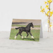 ボブラングリシュ |ブラックジプシーバンナーフォールランニングズ カード (黄色い花)