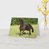 ボブラングリシュ |ブラックフリジアンホランニングース カード (黄色い花)