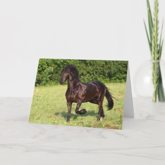 ボブラングリシュ |ブラックフリジアンホランニングース カード (正面)