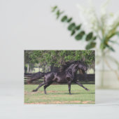 ボブラングリシュ |ブラックルシタランニングノのマネが流れる ポストカード (スタンド正面)