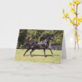 ボブラングリシュ |ブラックルシターノランニングズ カード (黄色い花)