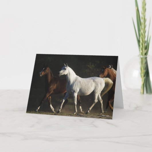 ボブラングリシュ |ヘルド・アラブ・マーレス歩く カード (正面)