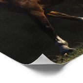 ボブラングリシュ |ヘルド・アラブ・マーレス歩く ポスター (角)