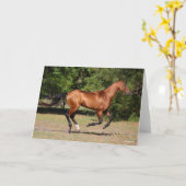 ボブラングリシュ |ベイアクハルテクランニングスタリオン カード (黄色い花)