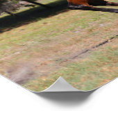 ボブラングリシュ |ベイアクハルテクランニングスタリオン ポスター (角)