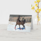 ボブラングリシュ |ベイアラブホースランニングインスノー カード (黄色い花)