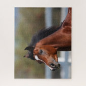 ボブラングリシュ |ベイアラブ子馬ヘッドショット ジグソーパズル (縦)