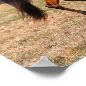 ボブラングリシュ |ベイアラブ歩く ポスター (角)