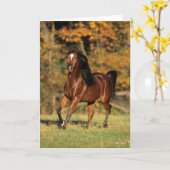 ボブラングリシュ |ベイアラブ秋の背景 カード (黄色い花)