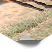 ボブラングリシュ |ベイアラブ立ち吹マネ ポスター (角)