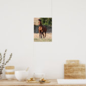 ボブラングリシュ |ベイアラブ立ち吹マネ ポスター (キッチン)