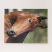 ボブラングリシュ |ベイアンダルシアのヘッドショット ジグソーパズル (横)