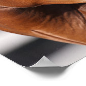 ボブラングリシュ |ベイアンダルシアのヘッドショット ポスター (角)