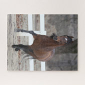 ボブラングリシュ |ベイアンダルシアランニングンスタリオン ジグソーパズル (横)