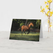 ボブラングリシュ |ベイアンダルシアンホースランニングズ カード (黄色い花)