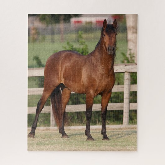 ボブラングリシュ |ベイアンダルシア立ち ジグソーパズル (縦)